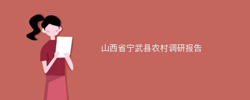 山西省宁武县农村调研报告