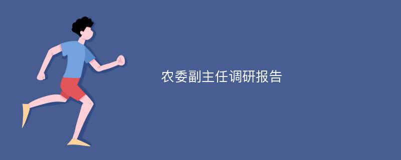 农委副主任调研报告