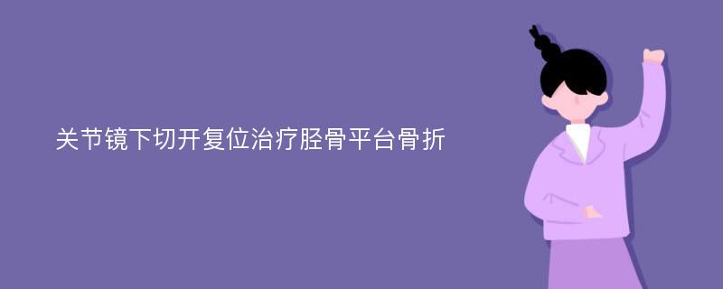 关节镜下切开复位治疗胫骨平台骨折