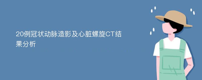 20例冠状动脉造影及心脏螺旋CT结果分析