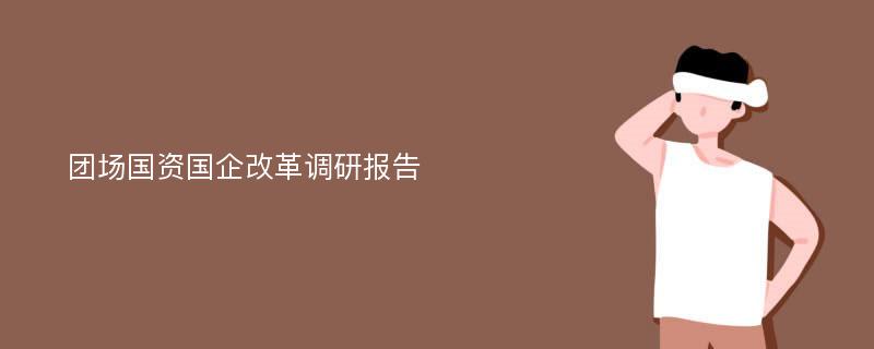 团场国资国企改革调研报告