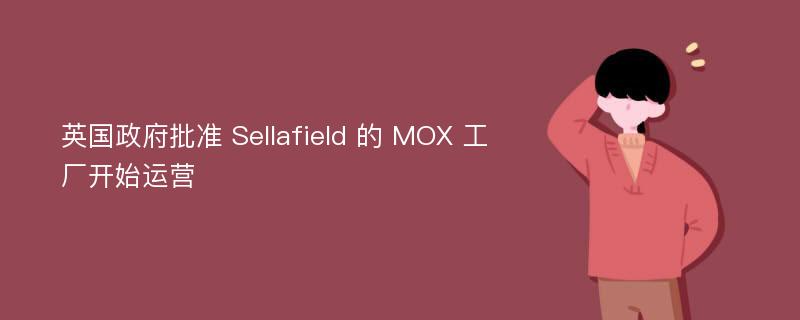 英国政府批准 Sellafield 的 MOX 工厂开始运营