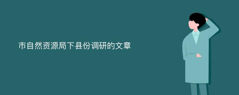 市自然资源局下县份调研的文章