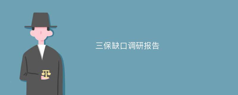 三保缺口调研报告