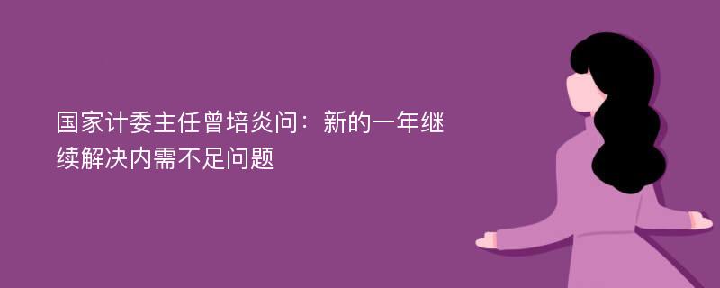 国家计委主任曾培炎问：新的一年继续解决内需不足问题