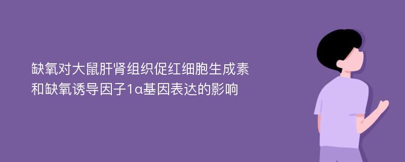 缺氧对大鼠肝肾组织促红细胞生成素和缺氧诱导因子1α基因表达的影响