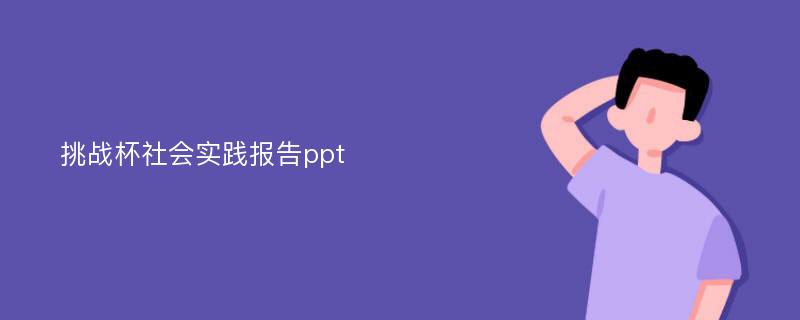 挑战杯社会实践报告ppt