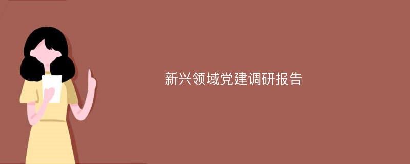 新兴领域党建调研报告