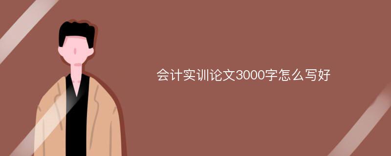 会计实训论文3000字怎么写好