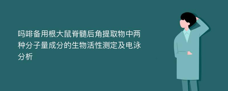 吗啡备用根大鼠脊髓后角提取物中两种分子量成分的生物活性测定及电泳分析