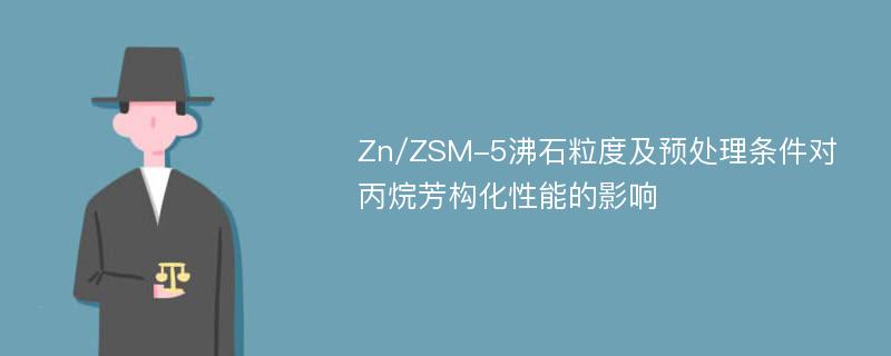 Zn/ZSM-5沸石粒度及预处理条件对丙烷芳构化性能的影响