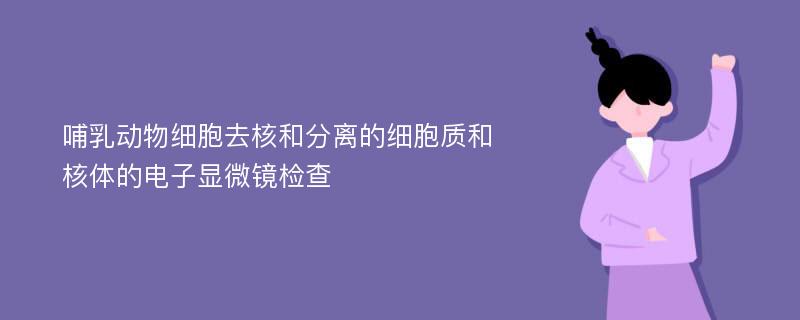 哺乳动物细胞去核和分离的细胞质和核体的电子显微镜检查